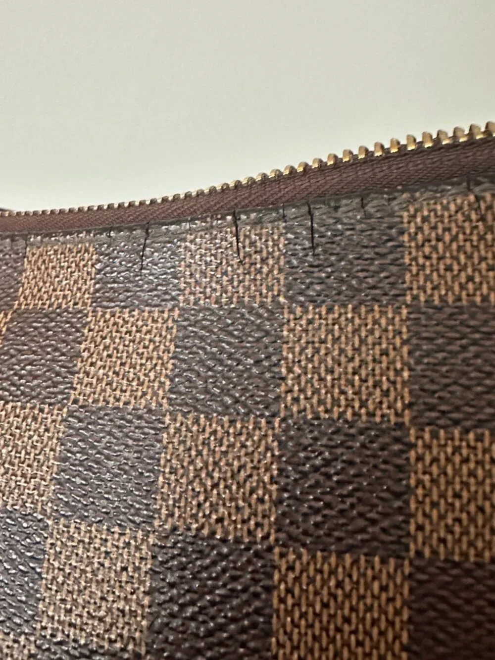 Louis Vuitton authentic louis